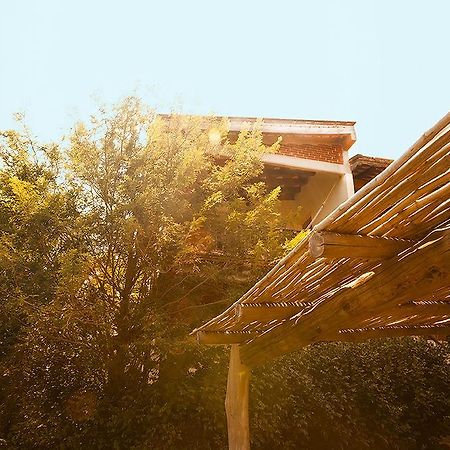 Casa Huijazoo Nature & Balance Hotel Масунте Екстериор снимка