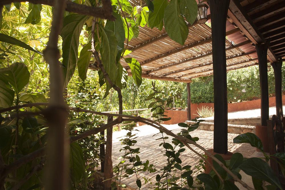 Casa Huijazoo Nature & Balance Hotel Масунте Екстериор снимка